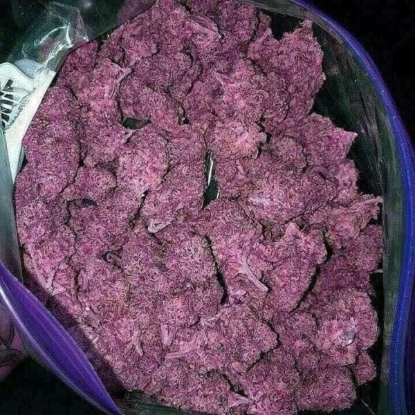 Buy Purple Haze Online in Turkey