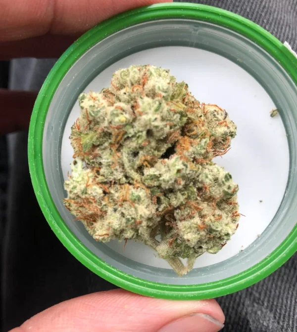 Buy Skywalker OG Online in Turkey - Image 2