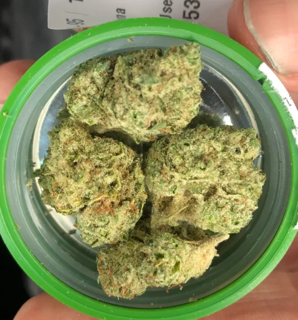 Buy Skywalker OG Online in Turkey