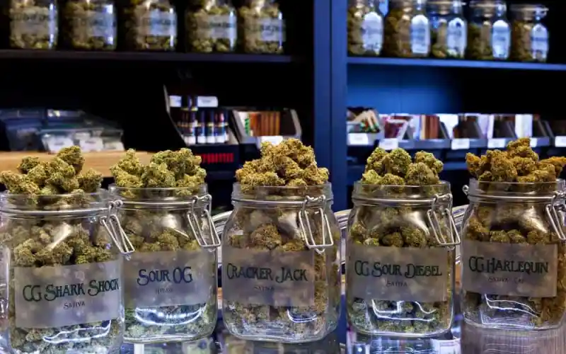 Buy weed online in Turkey Buy weed online in Turkey